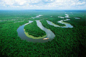 amazon_river