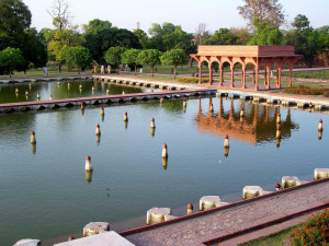 sady-shalimara-5