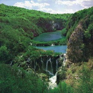 В чем заключается роль тайги?