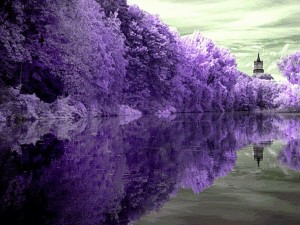 Остров Скай, Шотландия