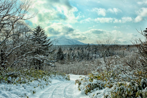 Природа острова Кунашир