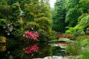 Ландшафтный дизайн, создание и особенности
