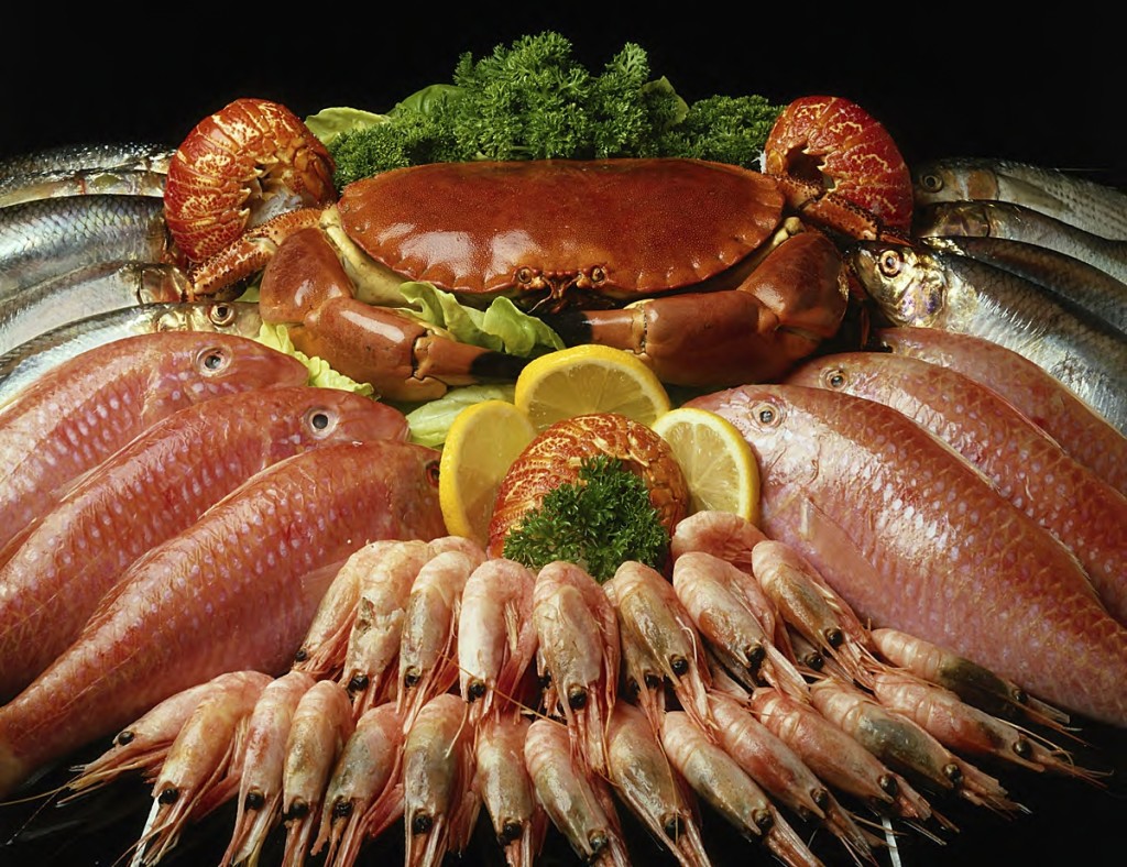 О пользе морепродуктов