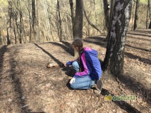 Планируется прогулка в лес, что одеть?