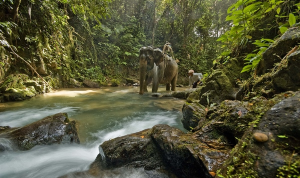 Национальный парк Khao Phra Thaeo National Park