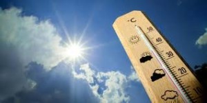 Аномальная жара стала следствием глобального потепления климата