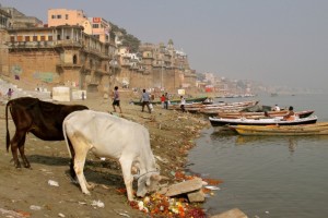 Варанаси – таинство самого священного города Индии 