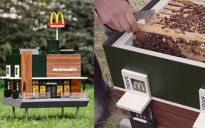 McDonald's для пчел