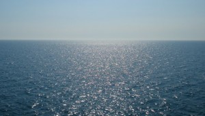 «Морская жара» - последствие глобального потепленния