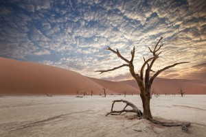 Согласно отчету ООН, 2019 год завершит самое жаркое десятилетие в истории