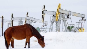 Цена акций нефтедобывающих компаний США, стремительно падает