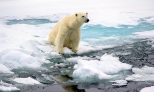 Планета Земля прогрелась до рекордной температуры за последних 12 000 лет