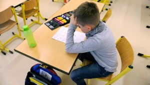 В Германии посчитали невозможным продолжать обучение детей в домашних условиях, дистанционно 